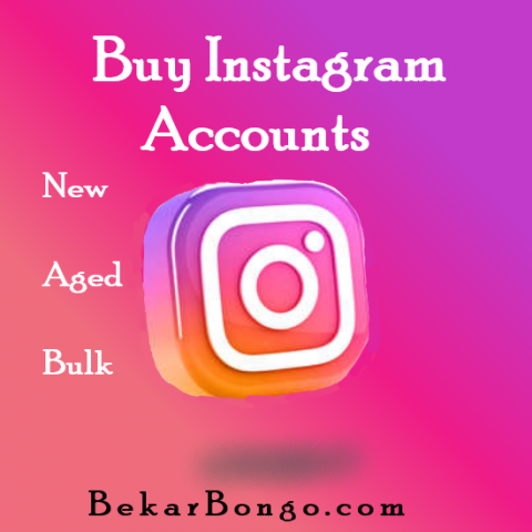 Buy Instagram Accounts - Buy New & Aged IG Account - Bekar Bongo